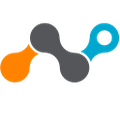 Netskope logo